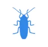 Уничтожение тараканов в Лосино-Петровском